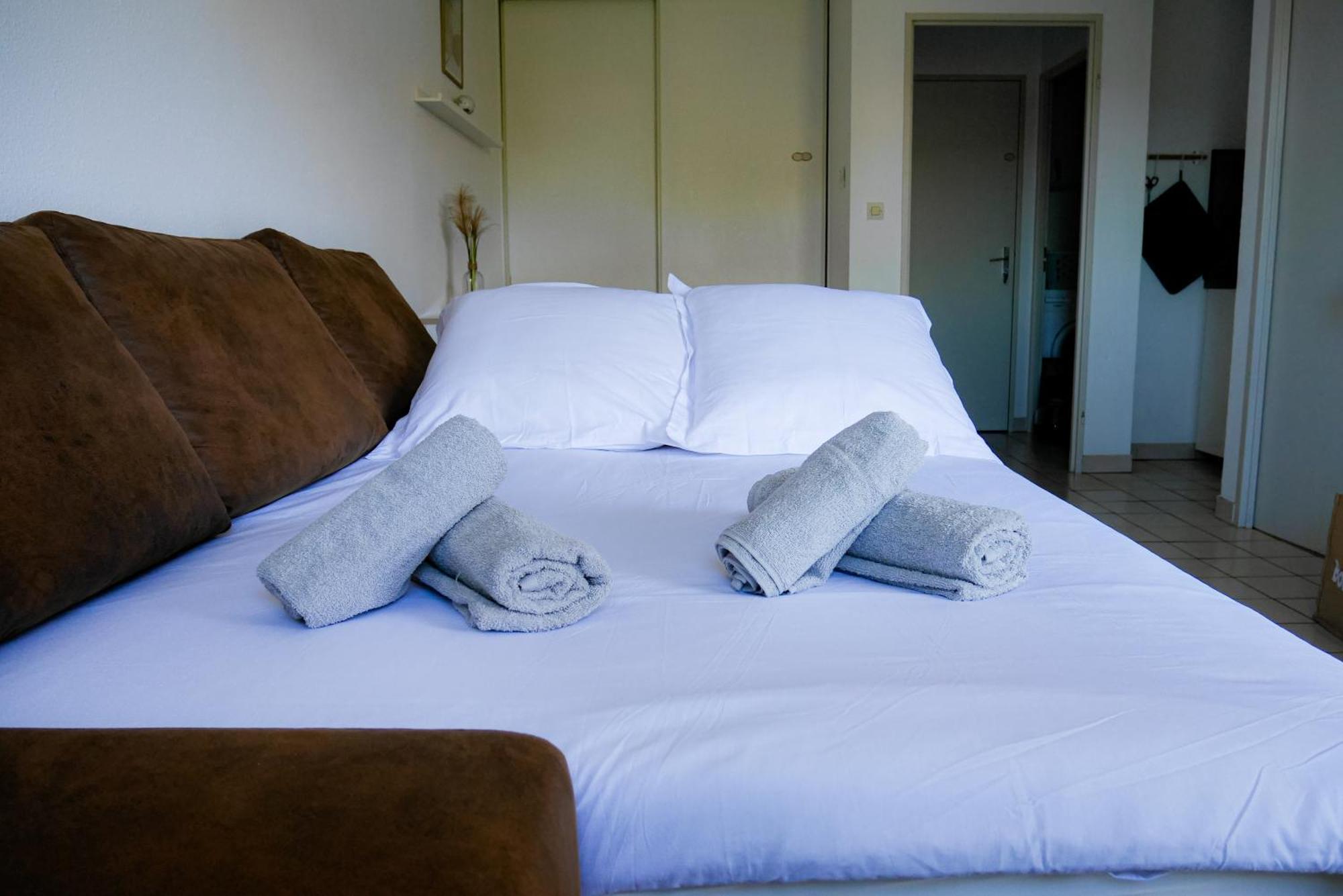 Апартаменты Le Laurier - Cosi - Wifi - Parking - Balcon Saint-Orens-de-Gameville Экстерьер фото